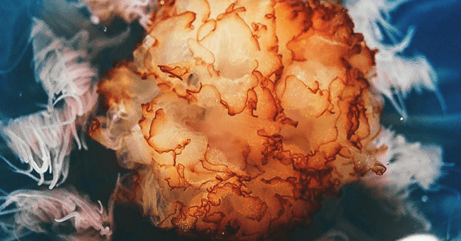 670x1450 The 10 Best Places to Find Your Next iPhone Wallpaper