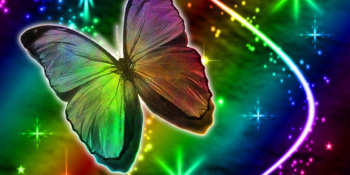 1800x1600 cool butterfly backgrounds Gallery (52+ images)