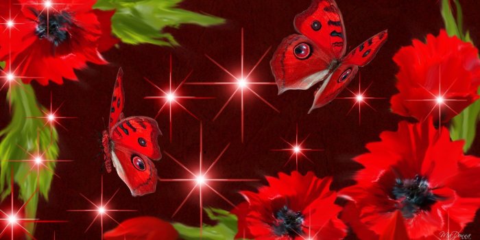 1920x1080 Flowers Stars Butterflies wallpaper