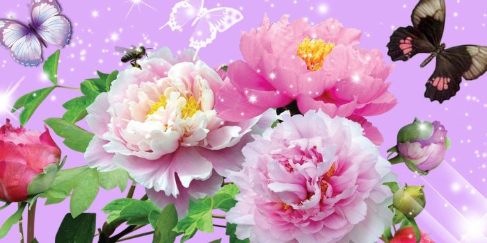 2880x1800 Flowers Stars Butterflies wallpaper