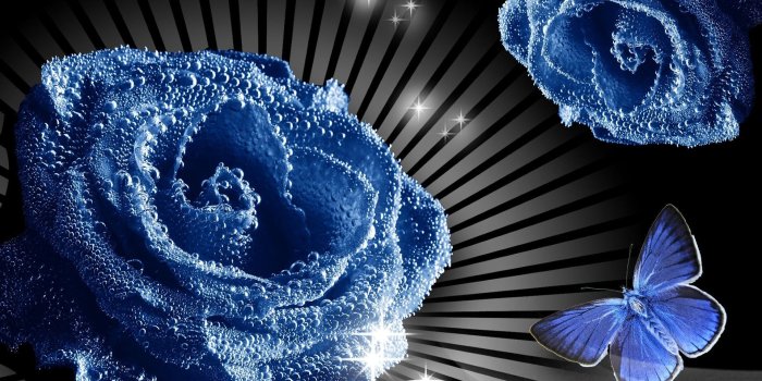 1920x1080 Flowers Stars Butterflies wallpaper