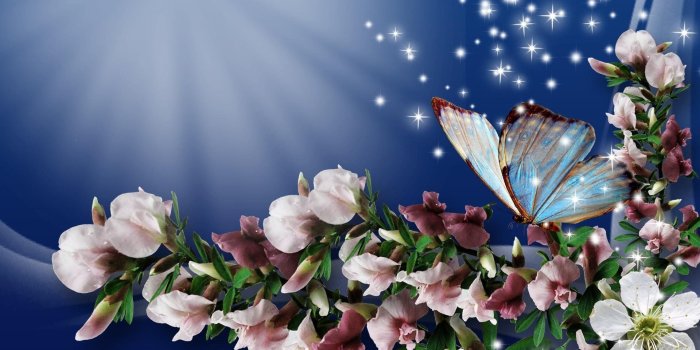 1920x1080 60+ Bright Flowers and Butterflies Wallpapers - Download at WallpaperBro