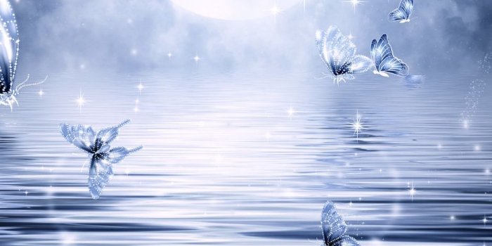 938x1668 Download wallpaper 938x1668 moon, butterflies, stars, glitter, art