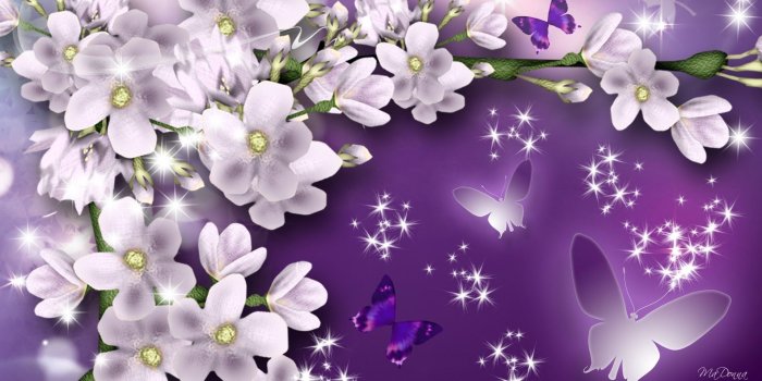 1920x1080 40+ Summer Purple Flowers Wallpapers - Download at WallpaperBro
