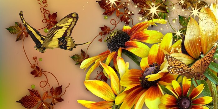 1920x1080 Flowers: Orange Sparkles Autumn Amber Sparkle Fleurs Leaves