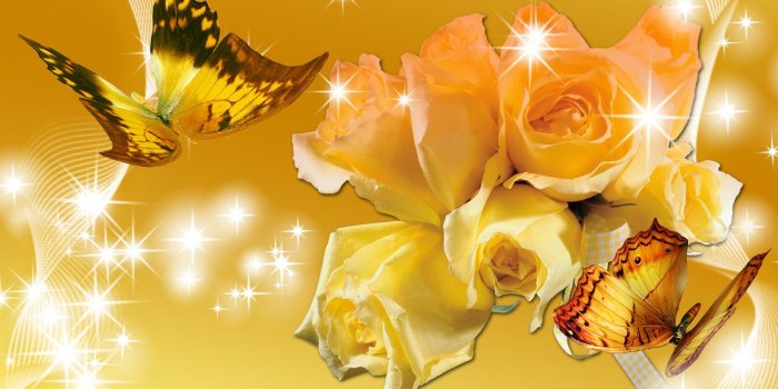 1920x1080 Flowers: Stars Butterflies Persona Yellow Roses Flowers Gold