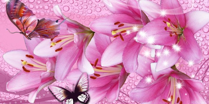 1920x1079 Flowers: Water Stars Butterflies Flowers Firefox Drops Persona