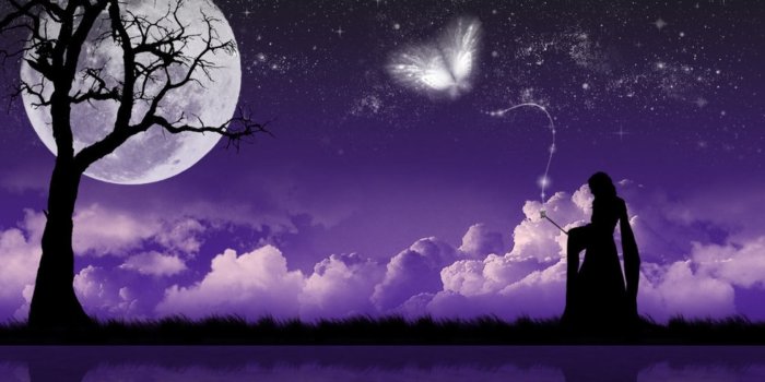 1680x1050 Violet Night, butterfly, clouds, Moon, night, purple, stars, woman