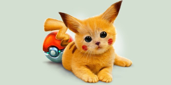 1920x1080 Pokémon HD Wallpaper | Background Image | 1920x1080 | ID:793150