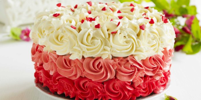 2560x1600 Cute Cake Wallpapers For Android