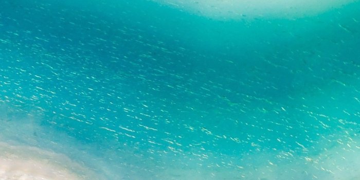 1140x2280 Nokia 7.1 | Abstract °Amoled °Liquid °Gradient in 2019 | Colorful