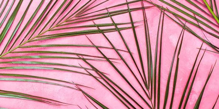 736x1308 10 Super Pretty iPhone X Wallpapers | Preppy Wallpapers