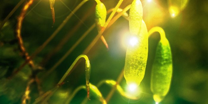 1080x1920 The Matrixer Wallpaper, iphone, smartphone, samsung galaxy, nokia