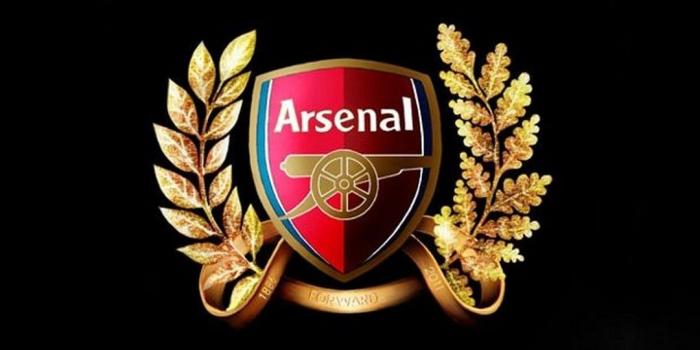 1080x1920 Arsenal Logo Wallpaper Android - 2019 Android Wallpapers