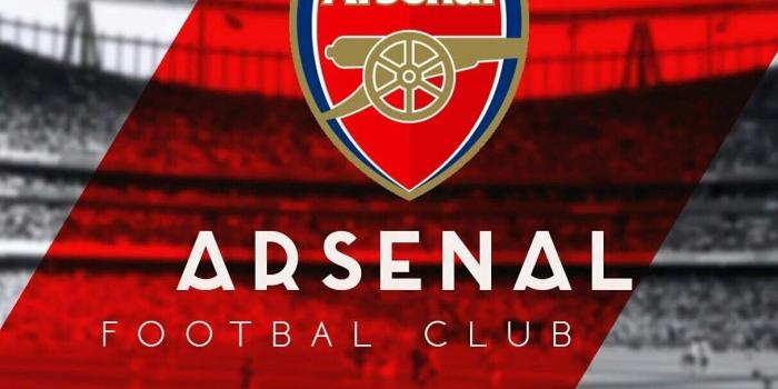 1213x1976 Arsenal Logo Wallpaper 2018 (78+ images)