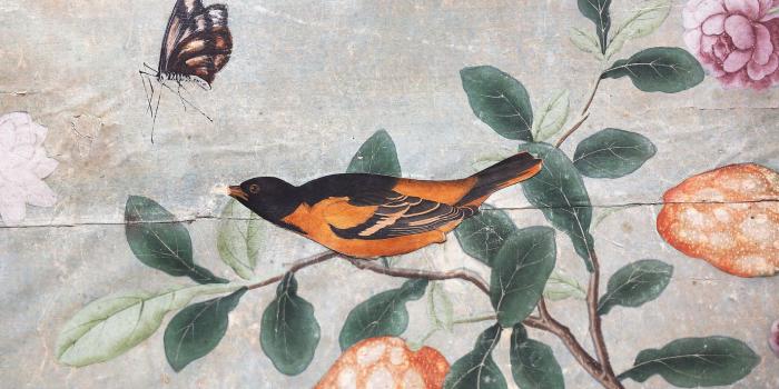 2400x1350 DIY for Aristocrats: Rare Audubon Prints Turned Into Fancy-Pants