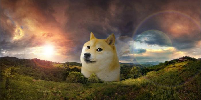 3370x1909 76+ Doge Meme Wallpapers on WallpaperPlay