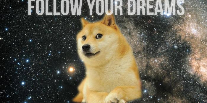 1920x1080 76+ Doge Meme Wallpapers on WallpaperPlay