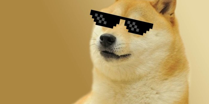 2000x1200 76+ Doge Meme Wallpapers on WallpaperPlay