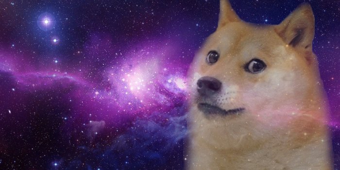 1920x1200 Doge Wallpapers | Hd wallpaper in 2019 | Iphone wallpaper photos