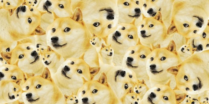 1920x1080 76+ Doge Meme Wallpapers on WallpaperPlay