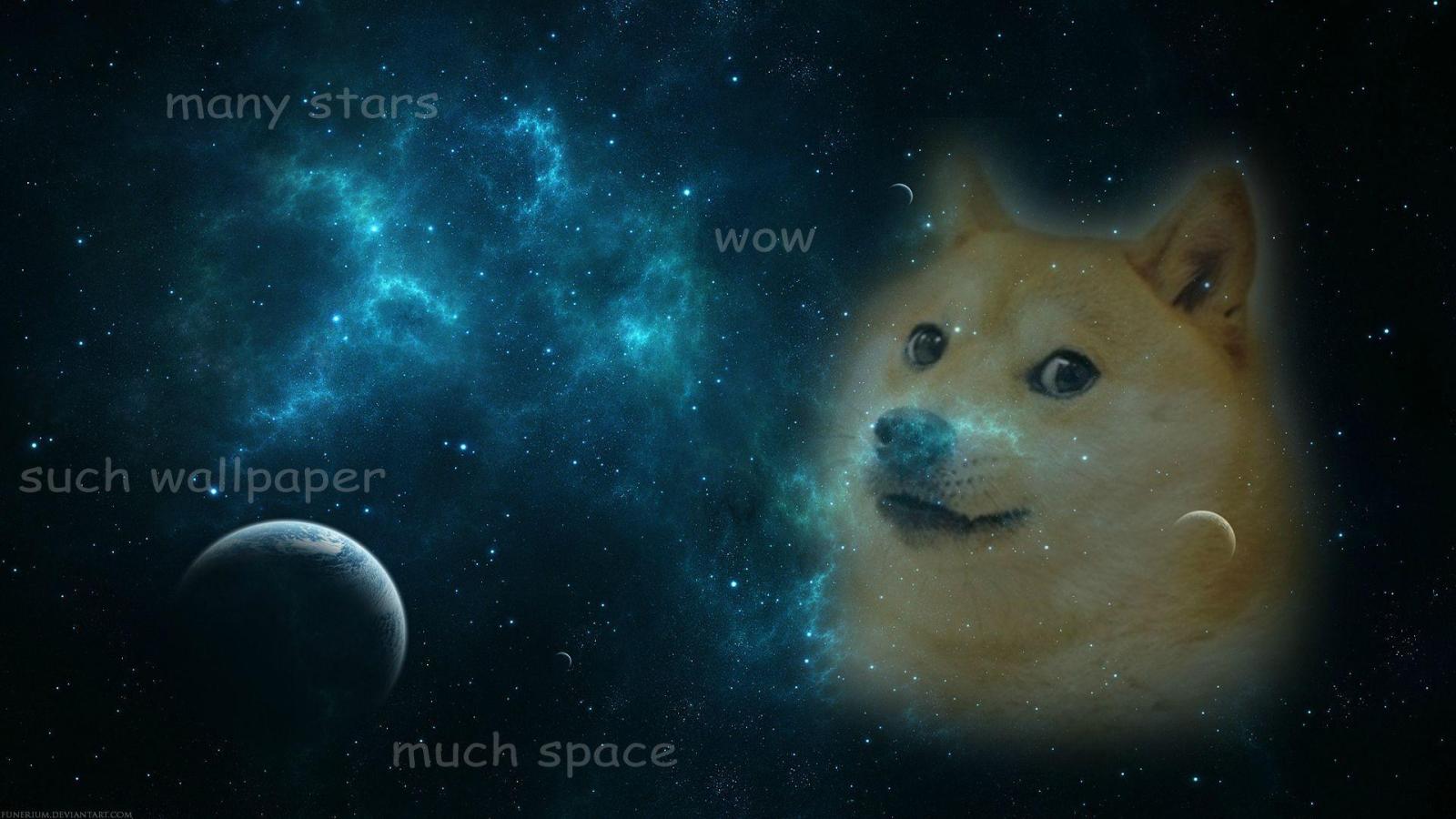 1920x1080 Doge Wallpapers