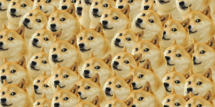 2880x1800 Doge Wallpapers - Album on Imgur