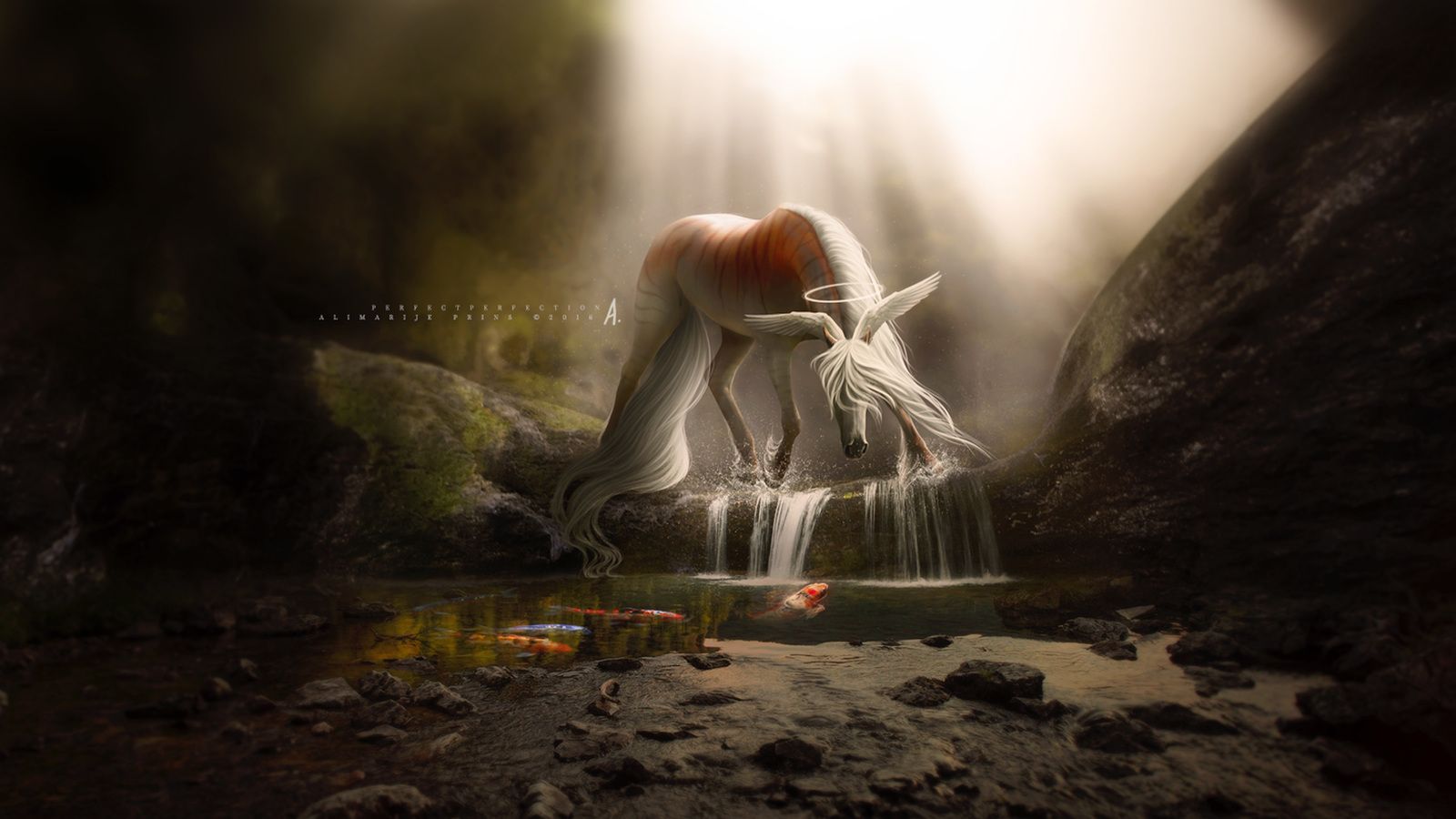 1600x900 1600x900 Garden Of Oblivion 1600x900 Resolution HD 4k Wallpapers