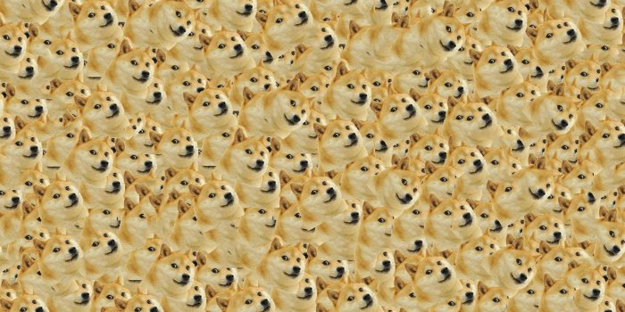 1920x1080 Doge Wallpapers