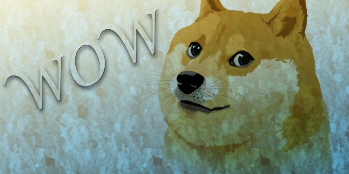 3735x2463 Doge wallpaper - Imgur