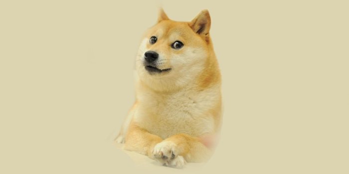 1920x1080 45+] Doge Wallpaper 1920x1080 on WallpaperSafari