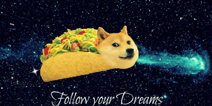 2048x1152 76+ Doge Meme Wallpapers on WallpaperPlay