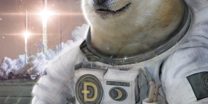 1080x1920 Wallpaper]very astronaut (version 3) to celebrate 90k subs!!! : dogecoin