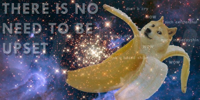 1920x1080 Doge [6] wallpaper - Funny wallpapers - #27500