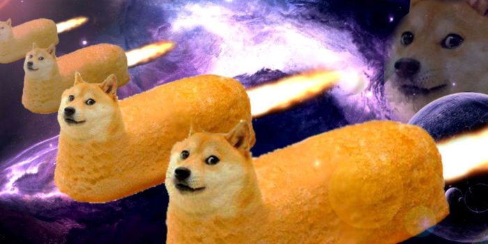 1231x769 Shibe Doge Wallpaper Phone | Laptop Wallpapers