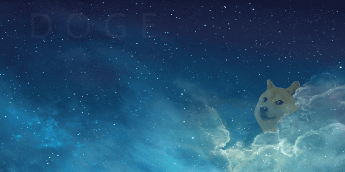 1920x1080 Doge Wallpapers