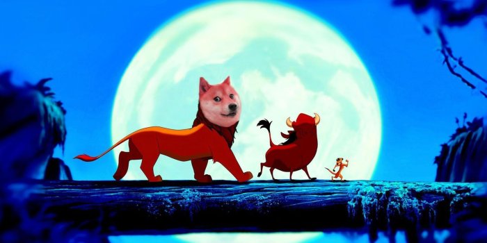 1956x1080 Doge wallpapers Gallery