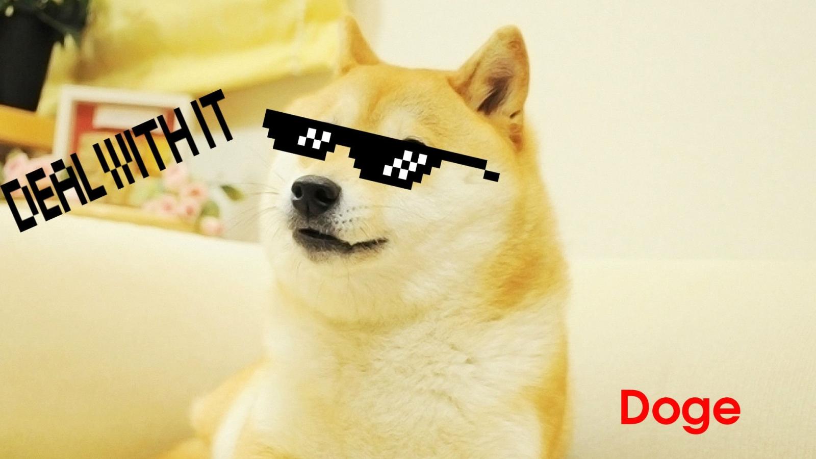 1920x1080 Doge wallpapers HD for desktop backgrounds