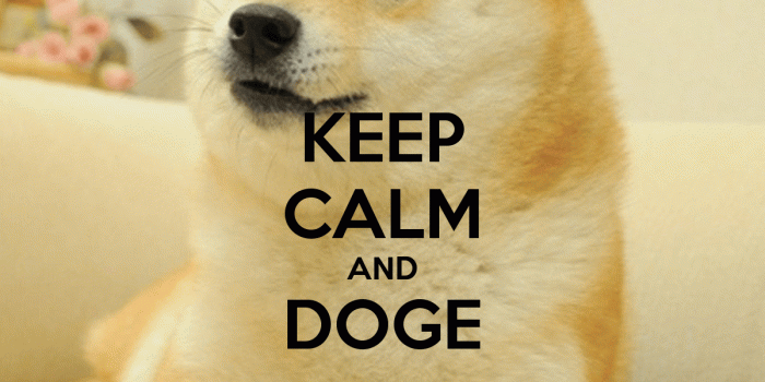 1200x1400 Free download Displaying 11 Images For Doge Meme Iphone 5 Wallpaper