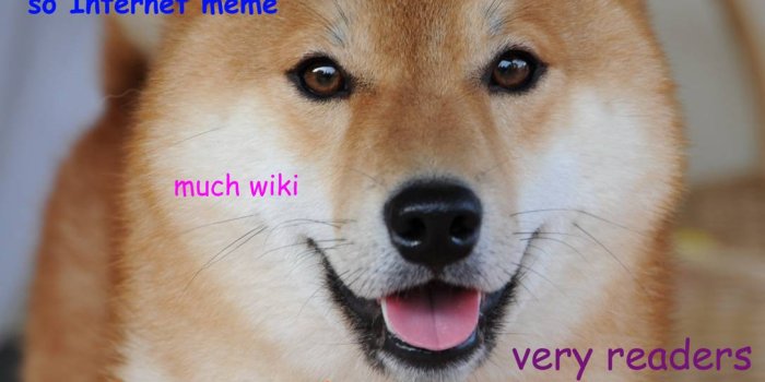 1086x1280 Doge Wallpaper by Sugarra_Morde - da - Free on ZEDGE™