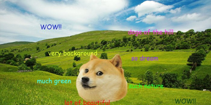 1920x1200 Doge [7] wallpaper - Meme wallpapers - #27300