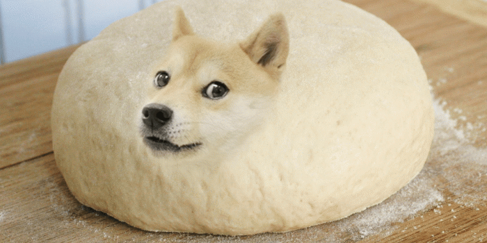 1600x1065 DogeDough - Doge Wallpaper (1600x1065) (117483)
