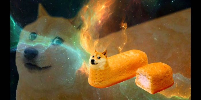 1920x1080 Doge Space Wallpaper (69+ images)