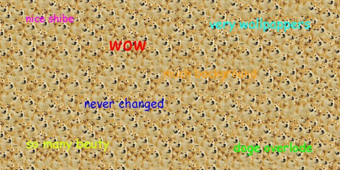 1600x900 doge wallpaper