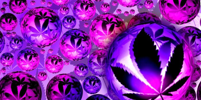 1600x1000 Purple Kush Wallpapers Smoke