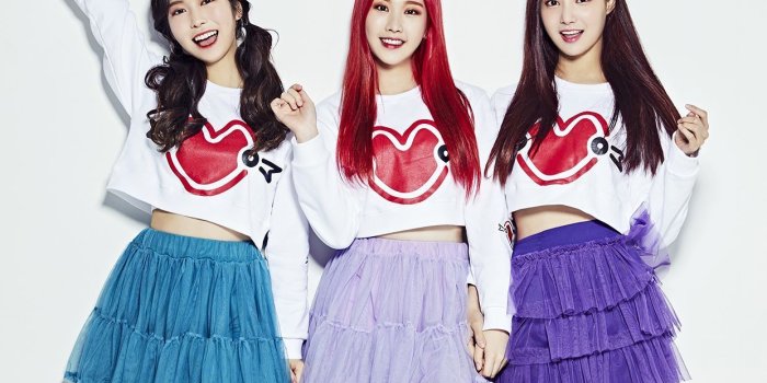 1242x2208 Momoland Wallpapers