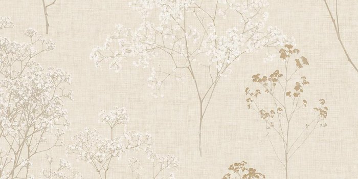 1000x1000 Queen Anne's Lace Wallpaper