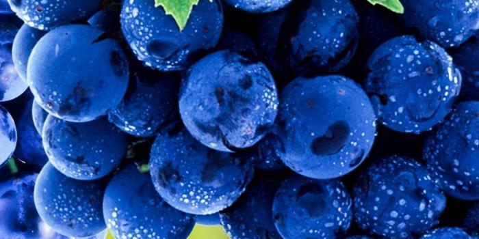 1080x2160 Grapes, blue, fruits, ripen, 1080x2160 wallpaper | Wallpapers