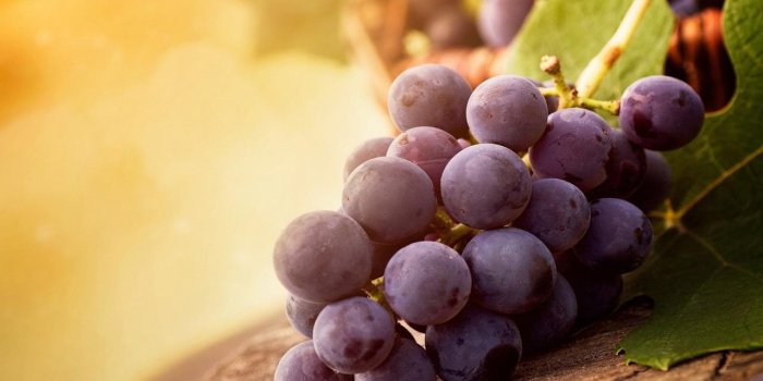 1280x800 Grape Wallpapers