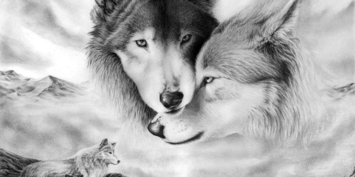 1024x768 Wallpapers Of Wolves